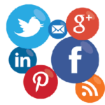 Search Engine Optimization in Trichy